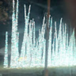 Meet your Posher, Michelle ramsey